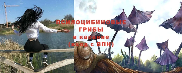 PSILOCYBIN Баксан