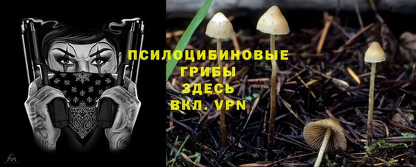 кокс Армянск