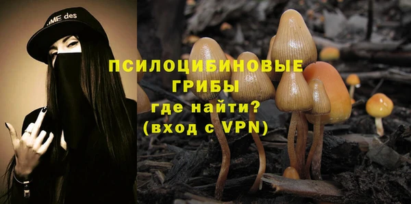 кокс Армянск