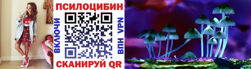 купить наркотик  Новомосковск  Галлюциногенные грибы мухоморы 